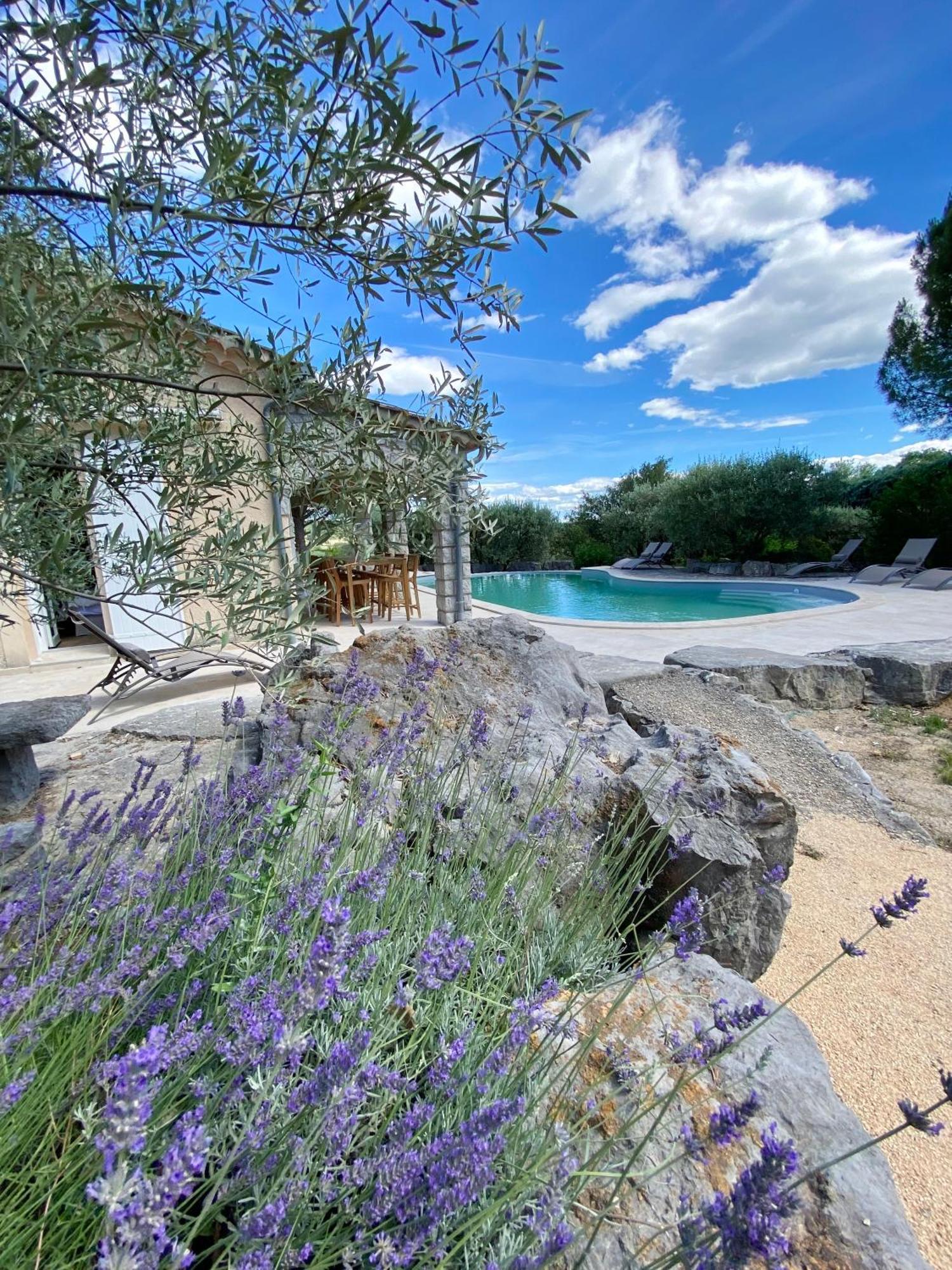 Maison Pour 12P, Piscine A Debordement Chauffee D'Avril A Octobre Inclus Ruoms Exteriér fotografie
